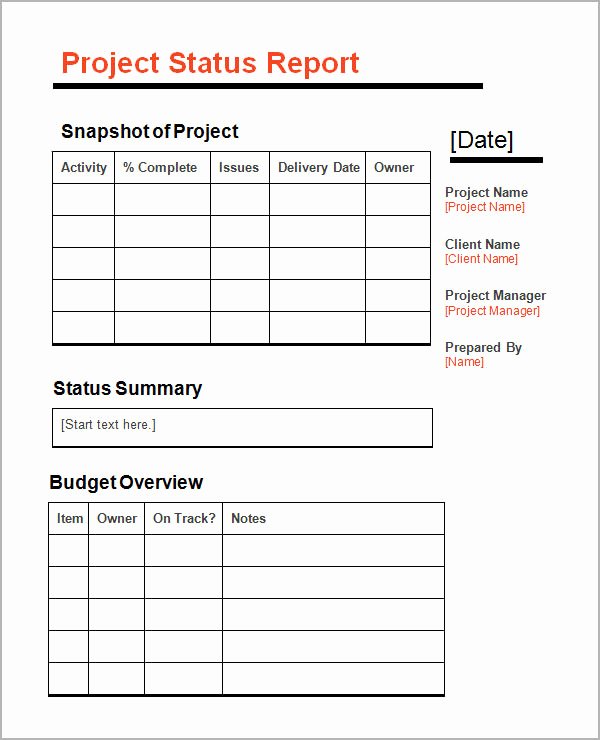 Project Status Report Template New Sample Status Report 12 Documents In Word Pdf Ppt
