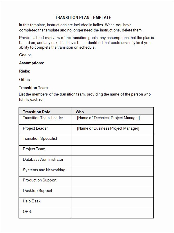 Project Transition Plan Template Lovely Transition Plan Template