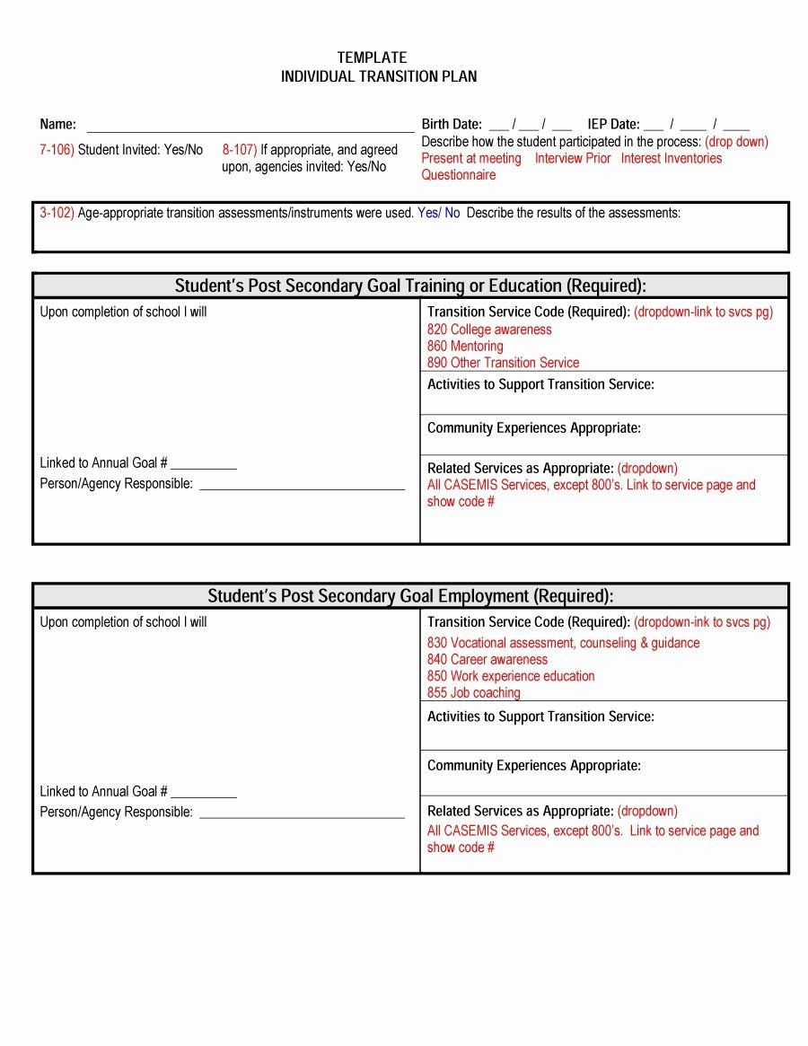 Project Transition Plan Template New Transition Plan Template