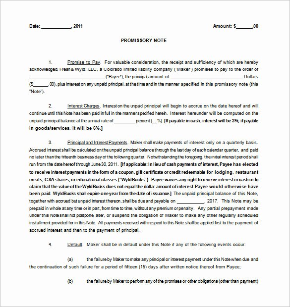 Promissory Note Template Florida New 35 Promissory Note Templates Doc Pdf