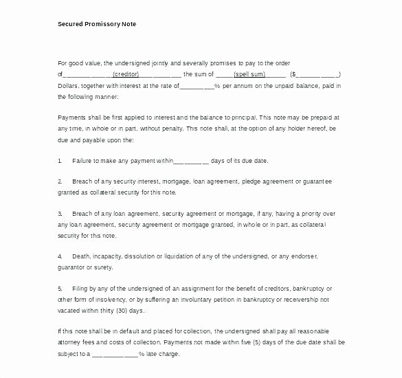 Promissory Note Template Florida New Writing A Promissory Note Templates formats Promissory