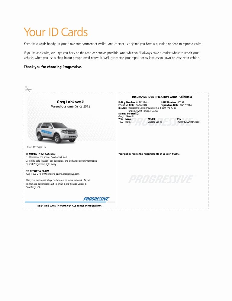 Proof Of Insurance Template Awesome Pgr Insurance Idcard 1