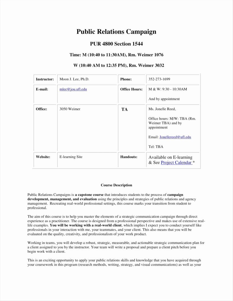 Public Relations Proposal Template Fresh 10 Public Relations Proposal Templates Free Pdf Doc
