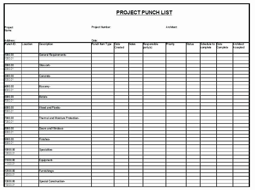 Punch List Template Excel Inspirational New House Punch List Template 5 Free Sample Project