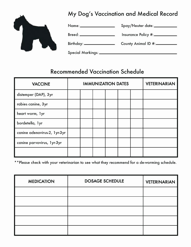 Puppy Shot Record Template Lovely 13 14 Pet Health Record Template
