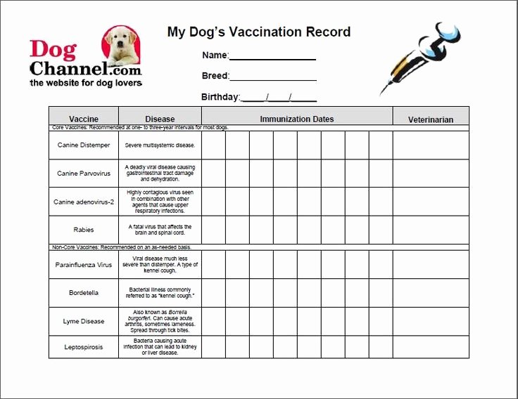 Puppy Shot Record Template Luxury Dog Vaccination Record form Dog 2 Pinterest