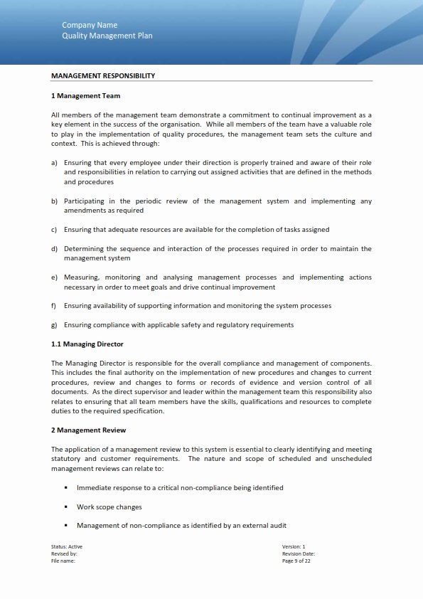 Quality Management Plan Template New Quality Management Template