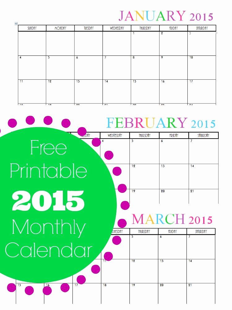 Quarterly Calendar Template 2015 Elegant Free Printable Bi Weekly Planner Cute &amp; Colorful Template
