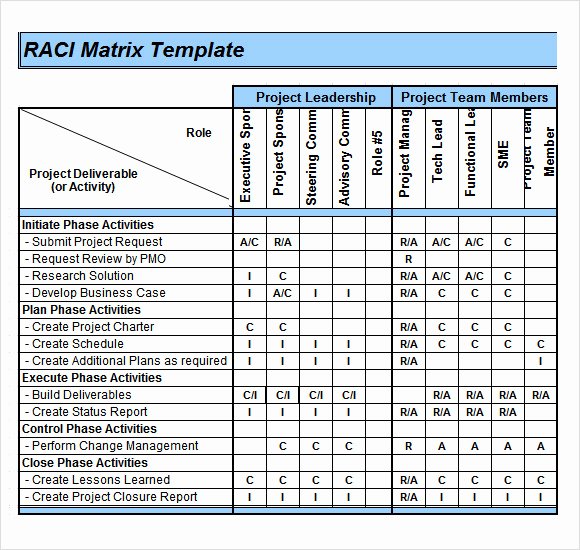 Raci Matrix Template Excel Lovely Sample Raci Chart 6 Free Documents In Pdf Word Excel