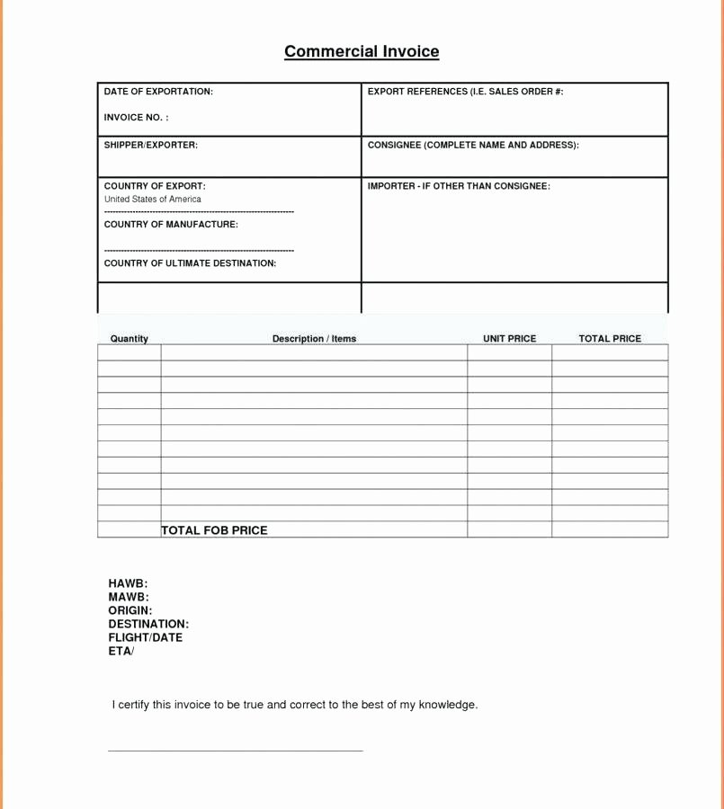 Rent Invoice Template Pdf New Car Rental Receipt Simple Rent Invoice Template Word top 5