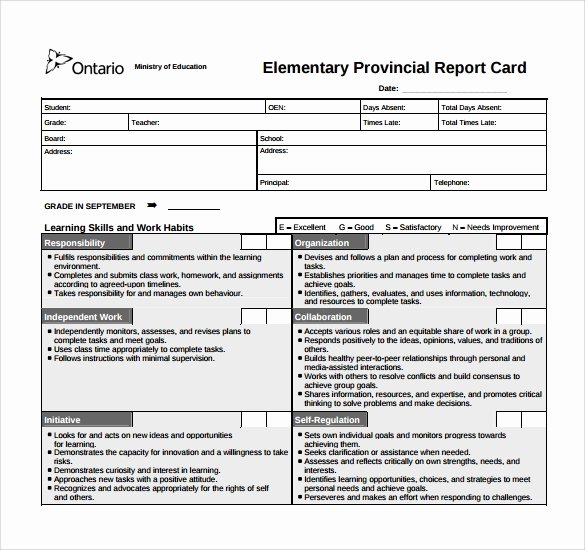 Report Card Template Word New Sample Report Card Template 11 Download Documents In