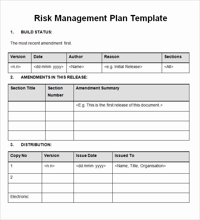 Risk Management Plan Template New Importance Of Having A Risk Management Plan