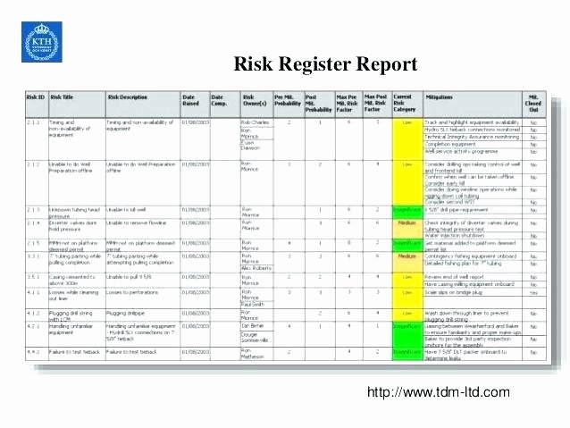 Risk Management Report Template Luxury issues Log Sheet Risk Management Template issue Risk