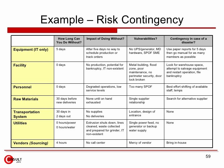 Risk Mitigation Plan Template Lovely Risk Management Plan Example – Emmamcintyrephotography