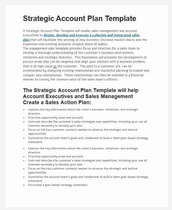 Sales Account Plan Template Beautiful 31 Sales Plan formats