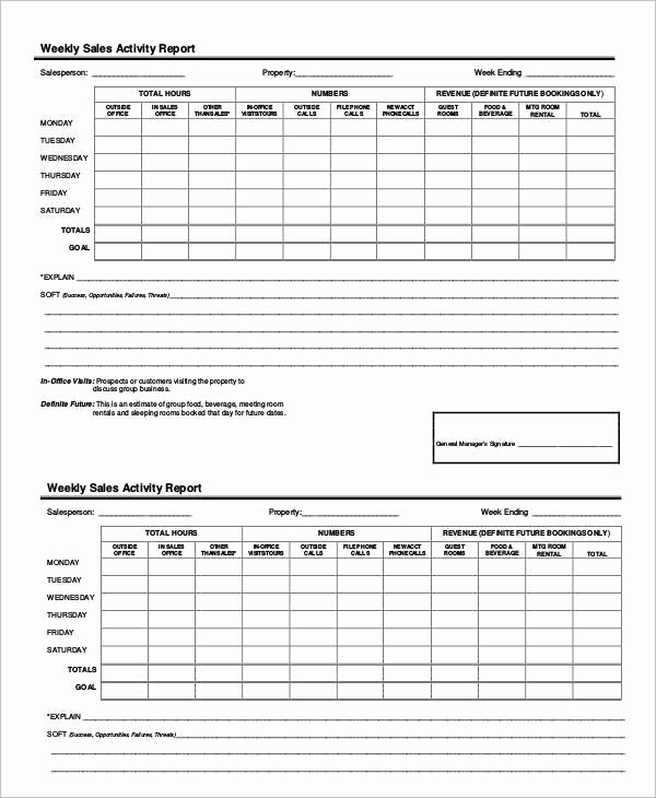 Sales Activity Report Template Beautiful 4 Report Writing formats Pdf