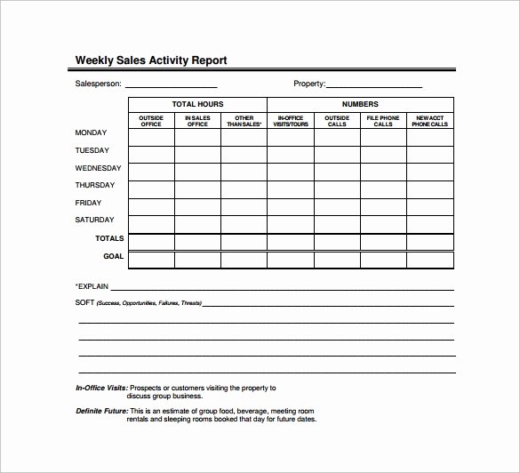 Sales Activity Report Template New Sample Sales Report Template 7 Free Documents Download