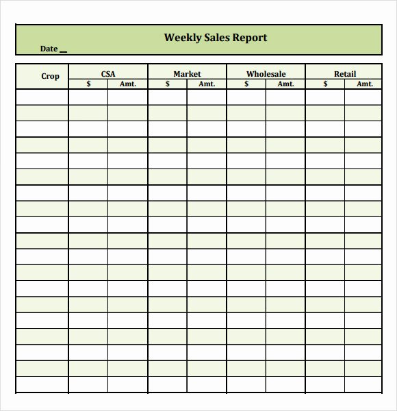 Sales Activity Report Template Unique 13 Sales Report Samples