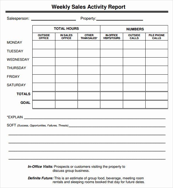 Sales Call Plan Template Lovely Sales Report Template 9 Free Pdf Doc Download