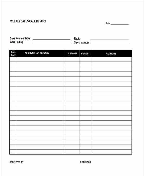 Sales Call Plan Template New 15 Sales Report form Templates