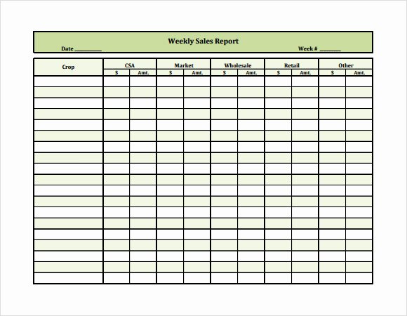 Sales Calls Report Template Unique Sample Weekly Report Template 15 Free Documents In Pdf