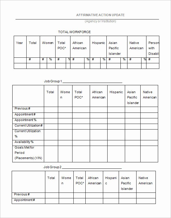 Sample Action Plan Template Inspirational Affirmative Action Plan Template 5 Free Word Excel