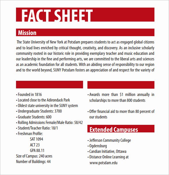 Sample Fact Sheet Template Awesome 12 Fact Sheet Templates Excel Pdf formats