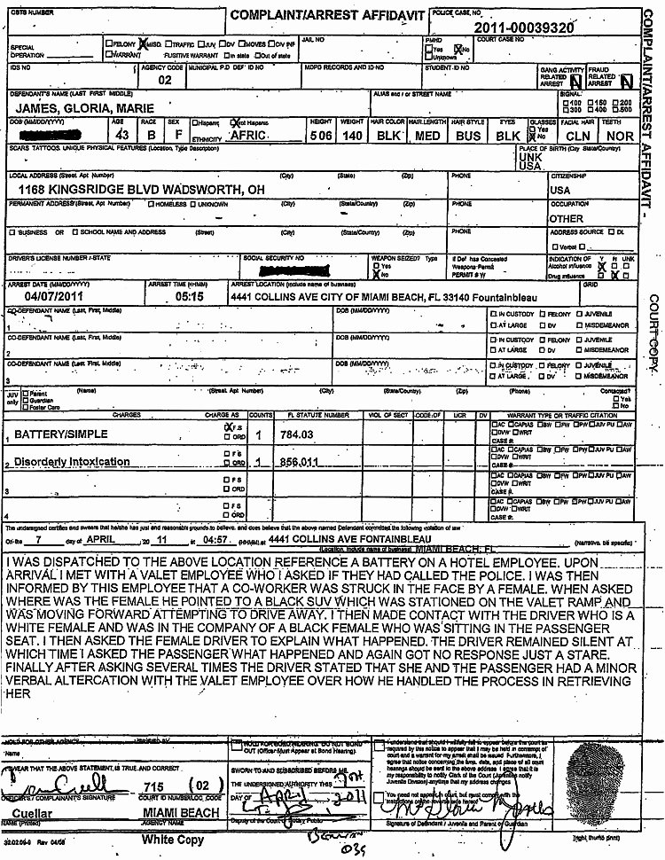Sample Police Report Template New Best S Of Police Report Writing Police Report