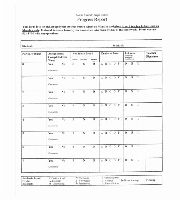 School Progress Report Template Best Of 22 Progress Report Template Free Word Google Docs