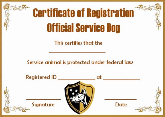Service Dog Certificate Template Beautiful Service Dog Certificate Template 10 Word Templates for