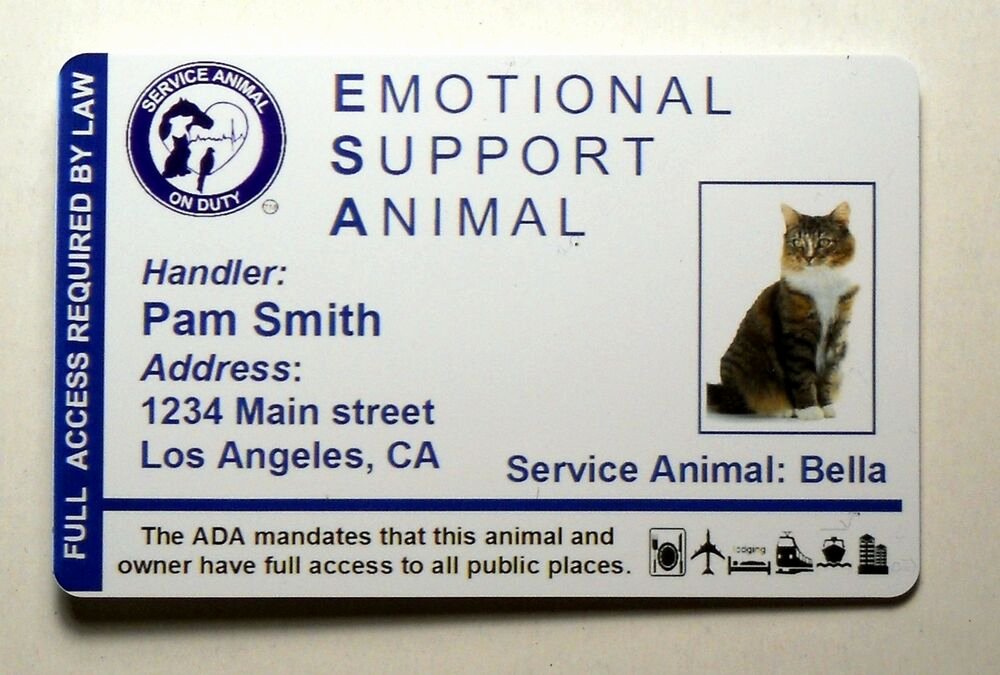 Service Dog Certificate Template Fresh Emotional Support Animal Id Card Badge Service Cat