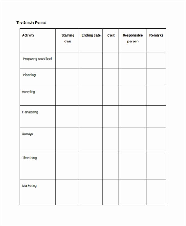 Simple Implementation Plan Template Awesome Project Implementation Template 6 Free Word Pdf