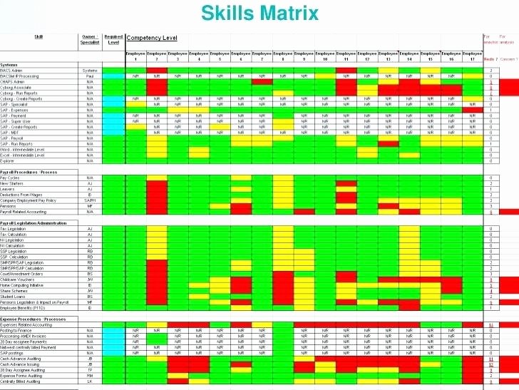 Skills Matrix Template Excel Awesome Skills Matrix Template Excel Training Skill format