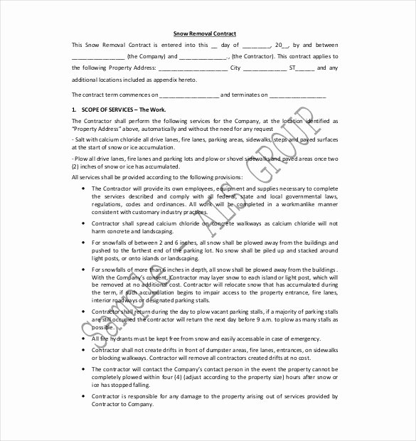 Snow Removal Contract Template Beautiful 20 Snow Plowing Contract Templates Google Docs Pdf