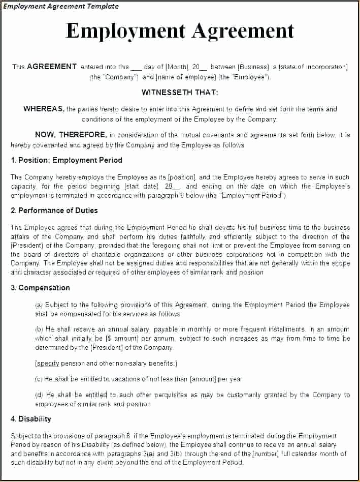 Snow Removal Contract Template Lovely Snow Plowing Contracts Template – Wordsmithservices