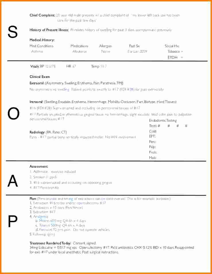 Soap Note Template Word Awesome 26 Of Veterinary soap Template Ex