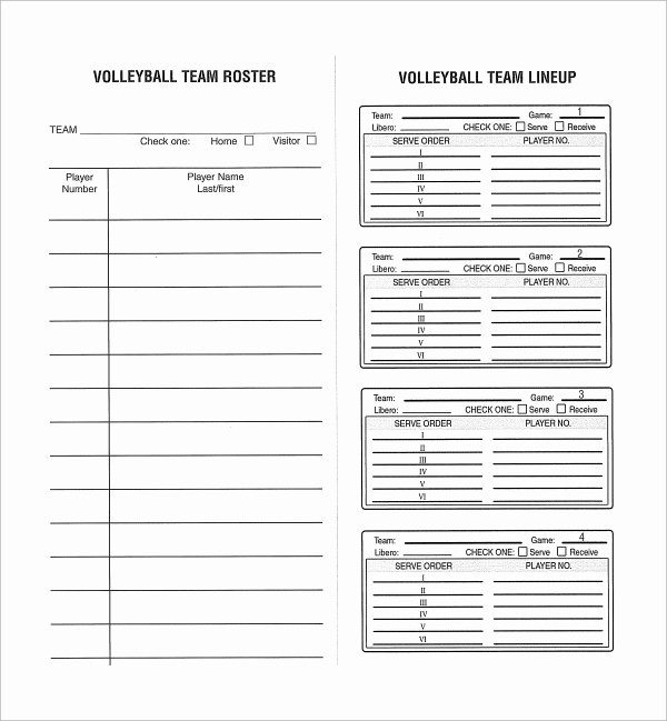 Soccer Team Roster Template Awesome Sample Volleyball Roster Template 6 Free Documents