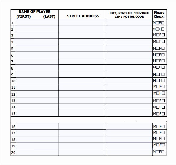 Softball Lineup Template Excel Elegant Sample Baseball Roster Template 9 Free Documents In Pdf