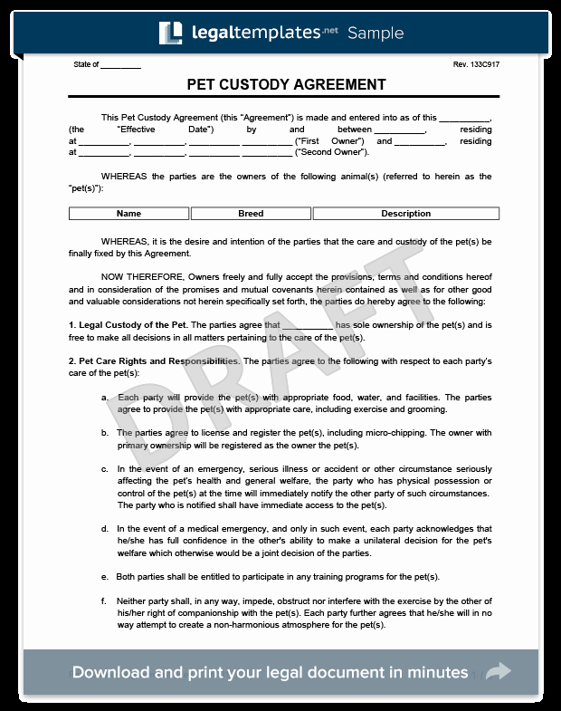 Sole Custody Agreement Template Lovely Pet Custody Agreement
