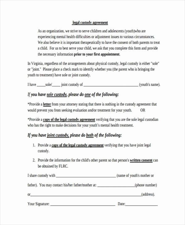 Sole Custody Agreement Template New Notarized Custody Agreement Template Beepmunk