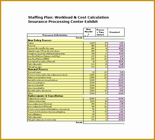 Staffing Plan Template Excel Inspirational 5 Staffing Model Template