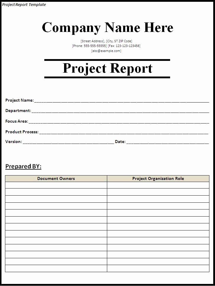 Status Report Template Excel Lovely Project Status Report Template Project Report Template