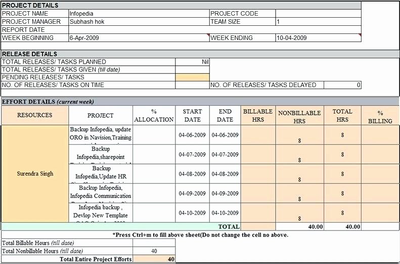 Status Report Template Excel Unique Weekly Status Report Template Excel Lorgprintmakers