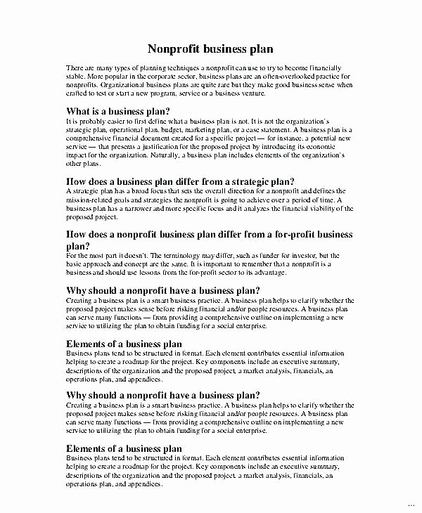 Strategic Plan Template Nonprofit Elegant Business Strategic Plan Marketing 5 Year Template