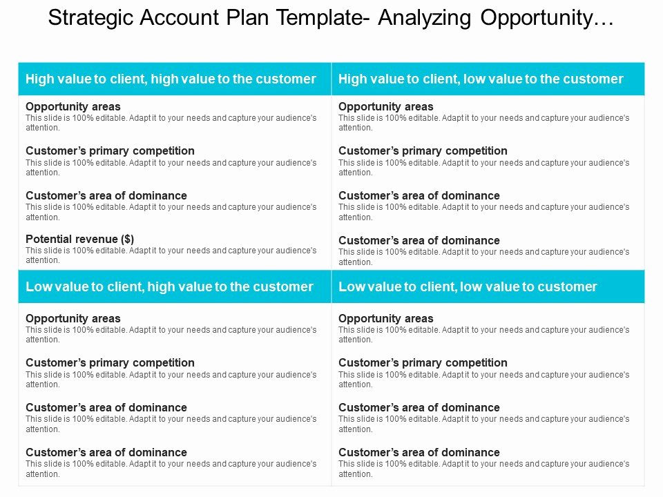 Strategic Plan Template Ppt Best Of Strategic Account Plan Template Analyzing Opportunity