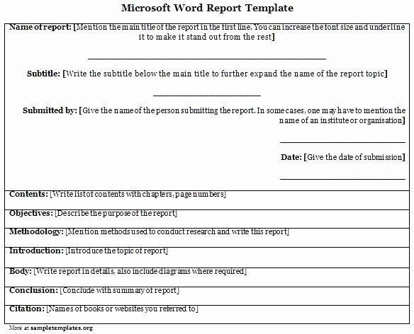 Technical Report Template Word Best Of Microsoft Word Technical Report Template Fice Report