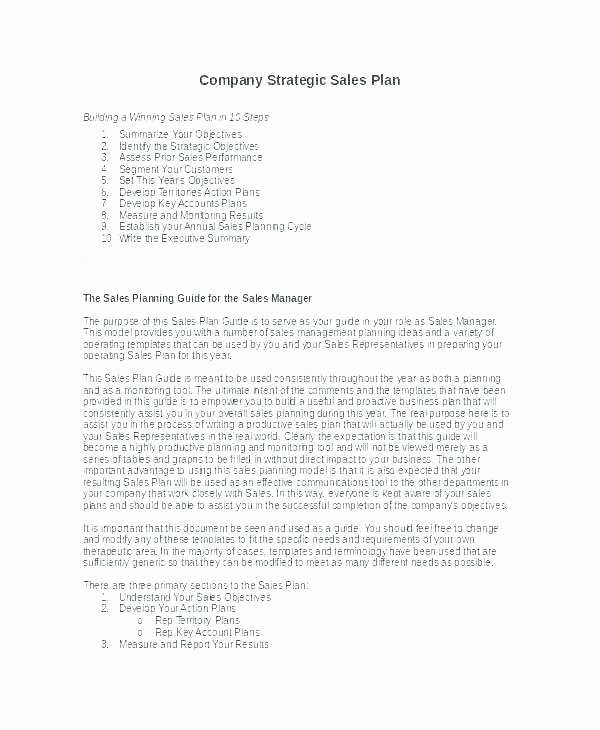 Territory Management Plan Template New Key Account Plan Template Free Download Strategic Strand