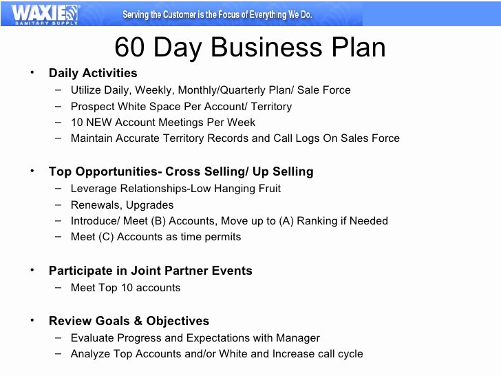Territory Sales Plan Template Lovely 30 60 90 Business Plan