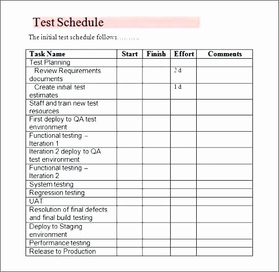 Test Plan Template Excel Inspirational Test Script Template Excel form New Testing Case User