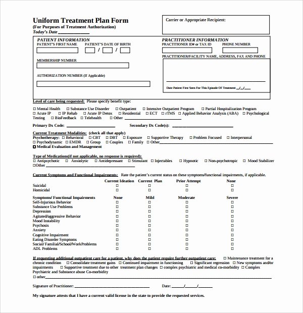 Therapy Treatment Plan Template Awesome Treatment Plan Template